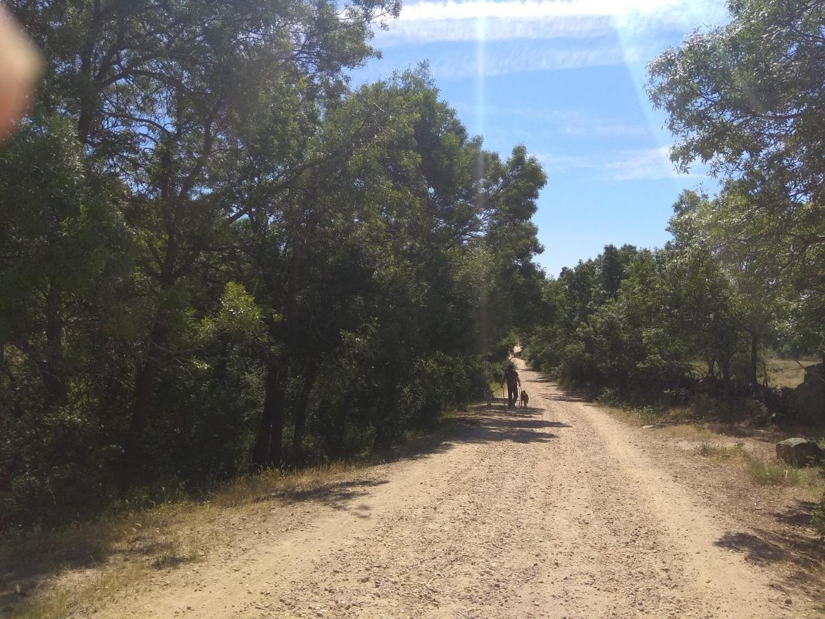 Acogedora En La Sierra De Madrid * Mataelpino